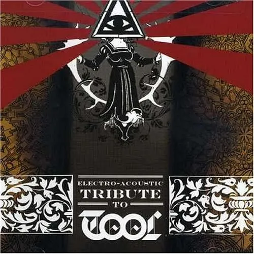 Tool - Electro-Acoustic Tribute to Tool